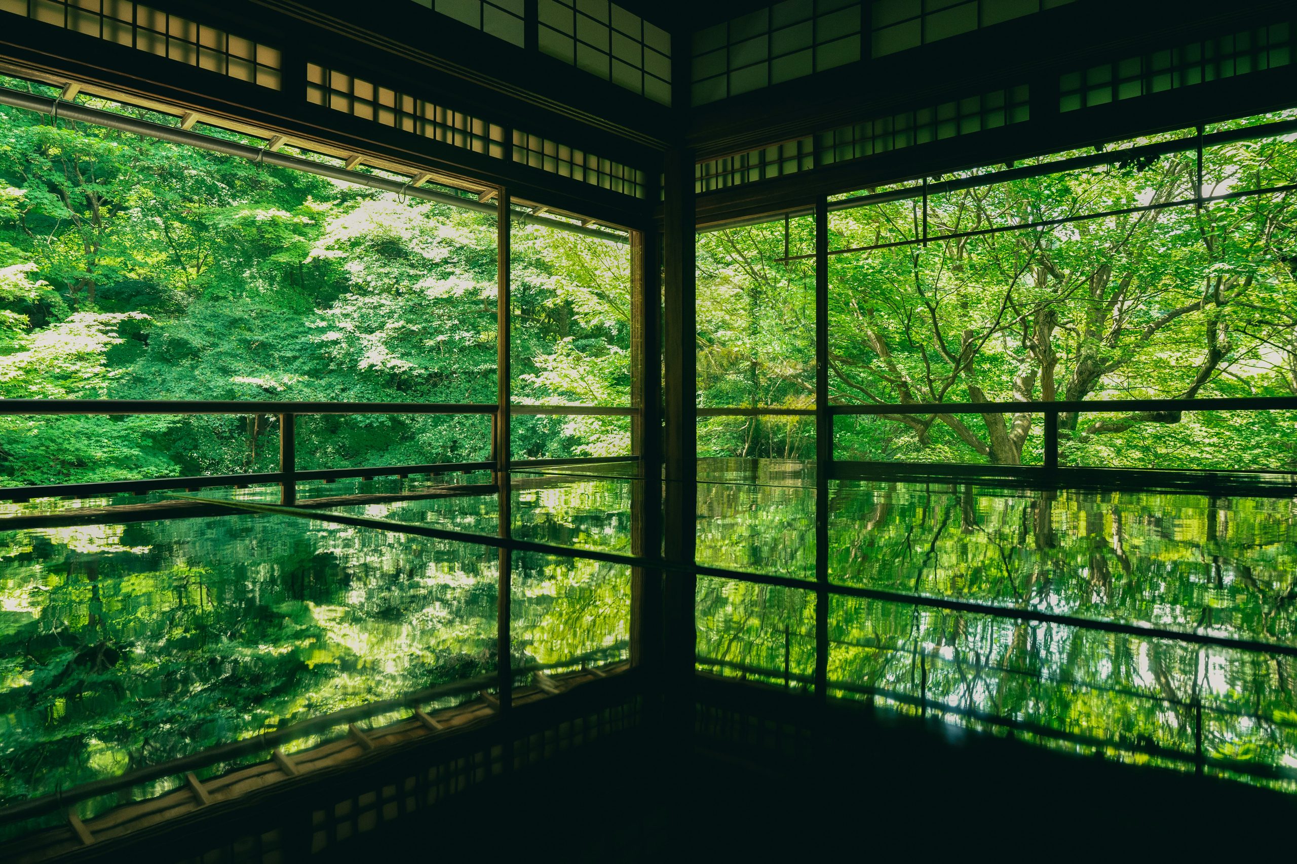 Traditional Japanese interior overlooking a green garden