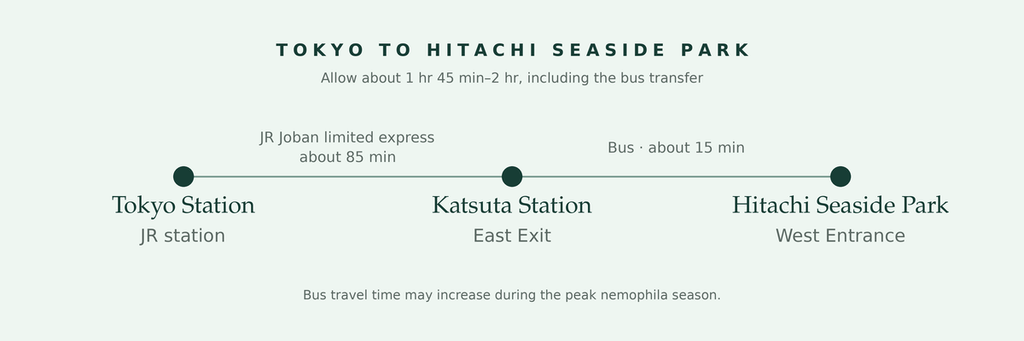 Route from Tokyo Station to Hitachi Seaside Park: about 85 minutes by limited express to Katsuta Station, followed by a 15-minute bus ride to the West Entrance